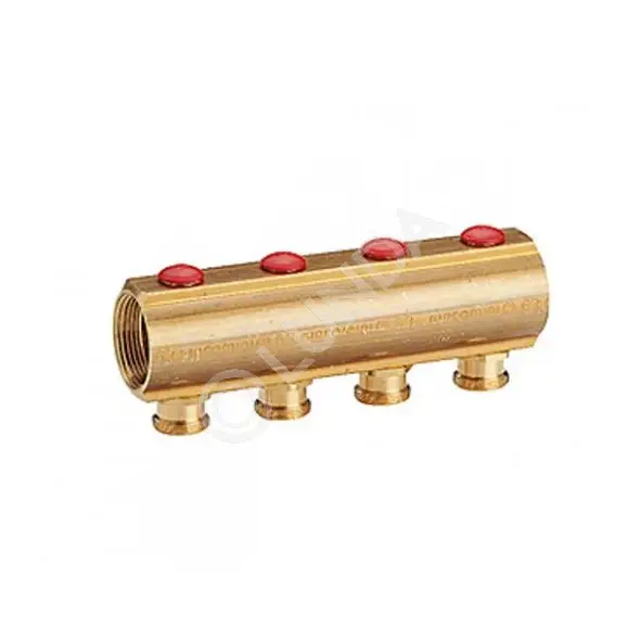 Коллектор с отсечными/балансировочными клапанами, R553S, Giacomini ...